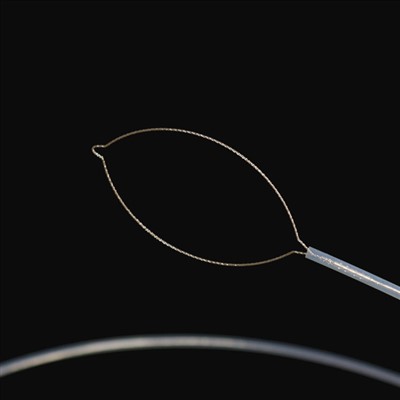 Masailezur motako atzerriko gorputzaren indarrak