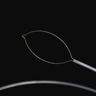 Prong motako atzerriko gorputzaren forceps